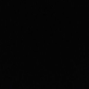 Meet your Posher, Sal