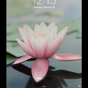 Meet your Posher, Oosa