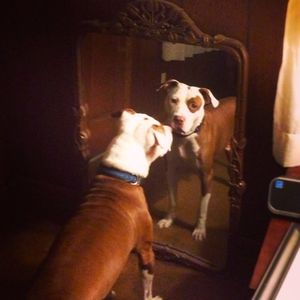 Meet your Posher, Jewell