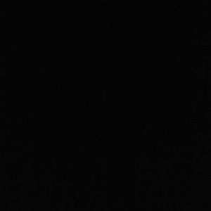 Meet your Posher, Noah