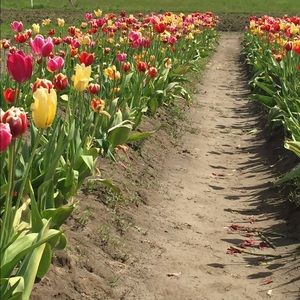 Meet your Posher, Jamie