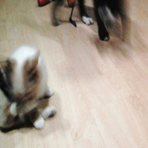 Meet your Posher, Alicia