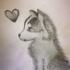 Meet your Posher, Cora