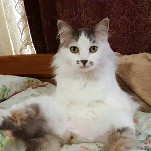 Meet your Posher, Mirtha