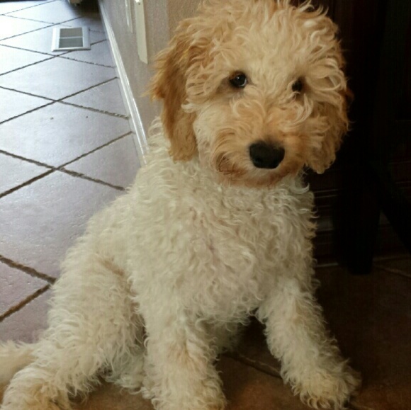 CHANCE - Picture 4 of 4