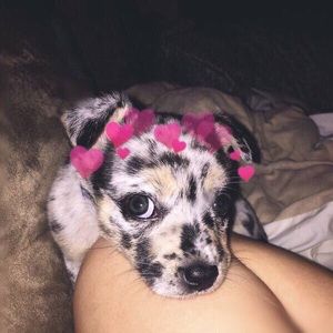 Meet your Posher, Zoe