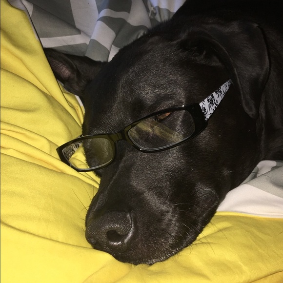 Meet your Posher, Jolene - Picture 1 of 1