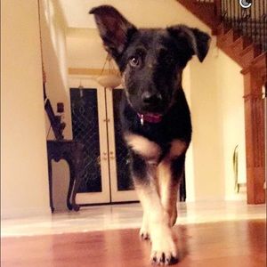 Meet your Posher, Juliana