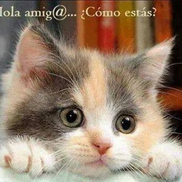 Meet your Posher, Isabel - Picture 1 of 1