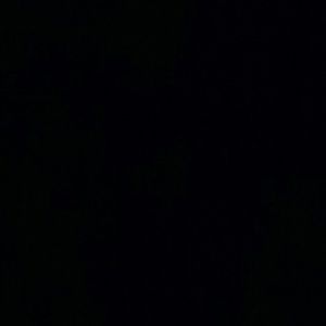 Meet your Posher, Bridget