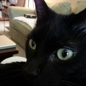 Meet your Posher, Brad