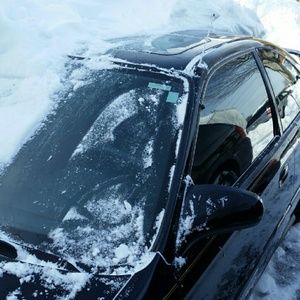 Meet your Posher, Roger