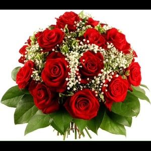 Meet your Posher, Karina