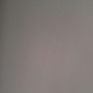 Meet your Posher, Shakima