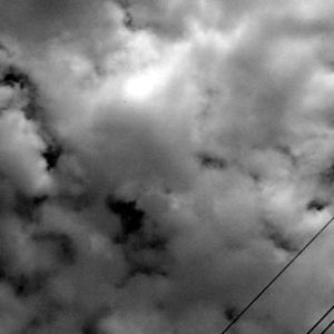 Meet your Posher, Sidney