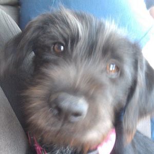 Meet your Posher, Sue