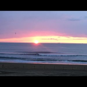 Meet your Posher, Betsy