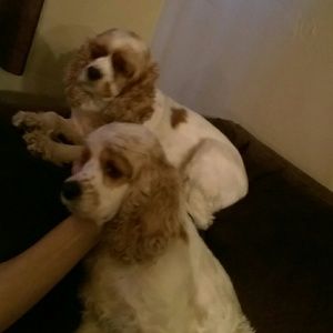 Meet your Posher, Stephanie?jump