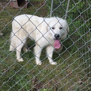 Meet your Posher, Angie