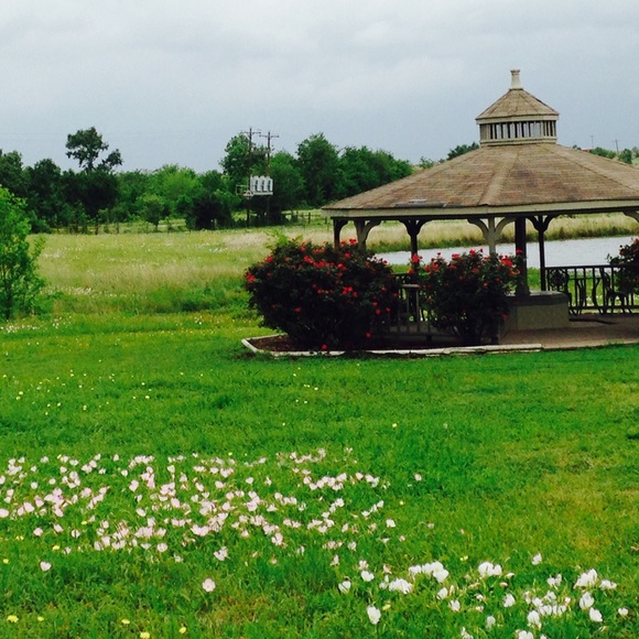 Meet your Posher, Tyler - Picture 1 of 1