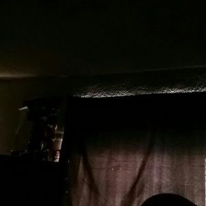 Meet your Posher, Daisy