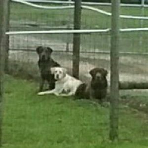 Meet your Posher, Brittney