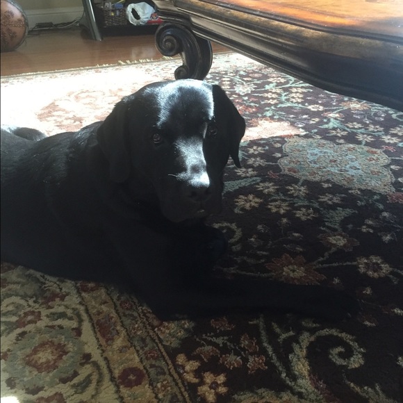 Meet your Posher, Sonya