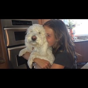 Meet your Posher, Ella