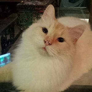 Meet your Posher, Melinda