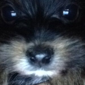 Meet your Posher, Mayte