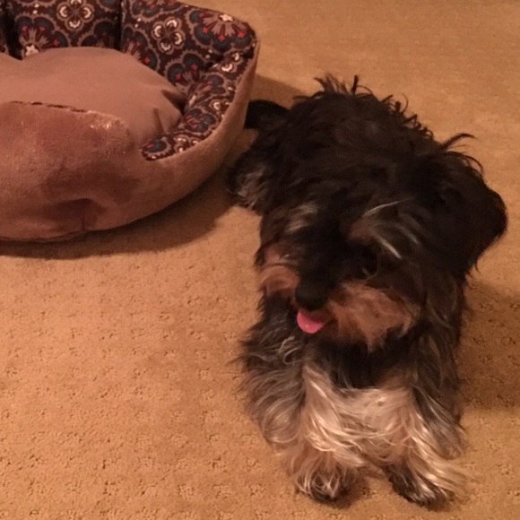 Meet your Posher, Jessica - Picture 2 of 2