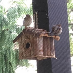 Meet your Posher, Debby