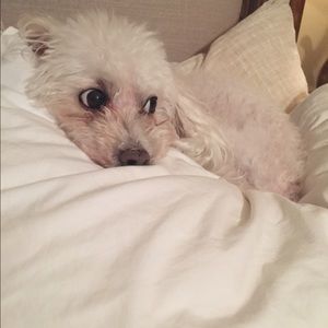 Meet your Posher, Erin