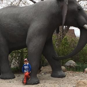 Meet your Posher, Sanchez