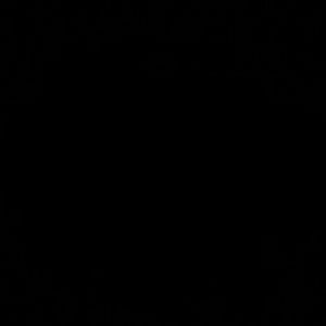 Meet your Posher, Izzy