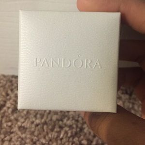 pandora c charm