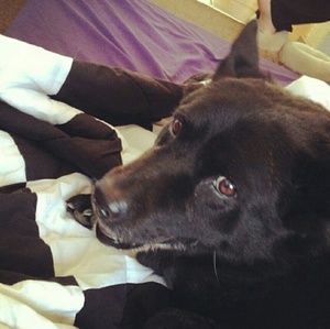 Meet your Posher, Laura