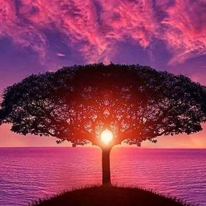 Meet your Posher, Sasha