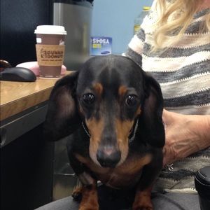 Meet your Posher, Judith