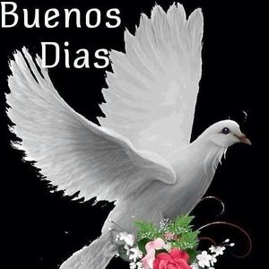 Meet your Posher, Elena