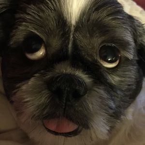 Meet your Posher, Victoria