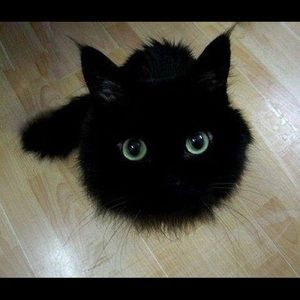 Meet your Posher, Nayeli