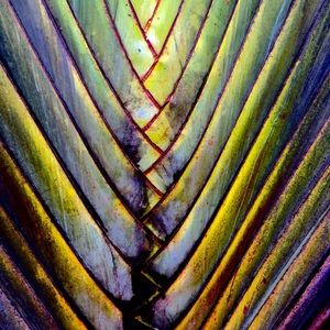 Meet your Posher, Marie