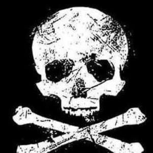 Meet your Posher, Annalee