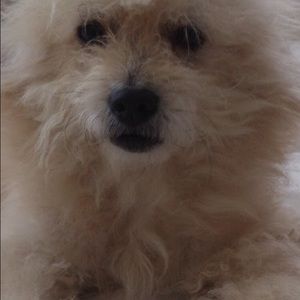 Meet your Posher, Edward