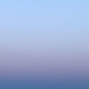 Meet your Posher, Lily