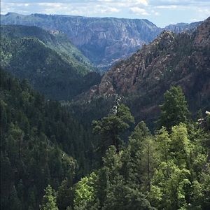 Meet your Posher, Martha