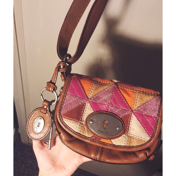 Rare Colorful Fossil Satchel