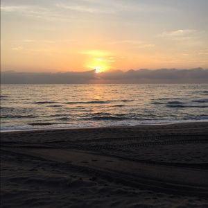 Meet your Posher, Paige