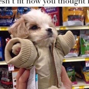 Meet your Posher, Jade